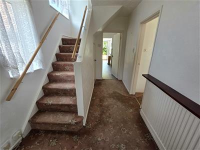Picture 7